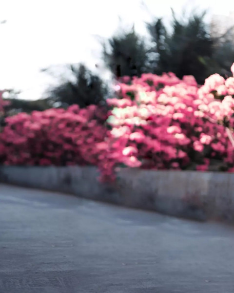 Creative Editing HD Background Download Pic