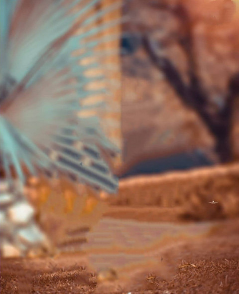 Creative Photo Editing Background Full HD For Picsart & CB