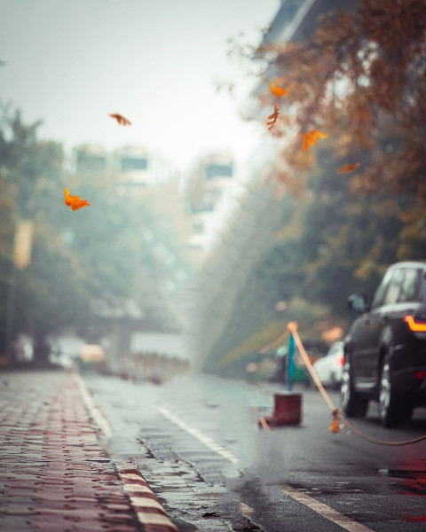 Creative Snapseed Background For PicsArt & CB Editing Viral