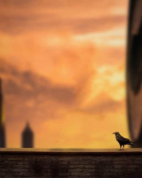 Crow Movie Poster Editing Background CB Picsart HD