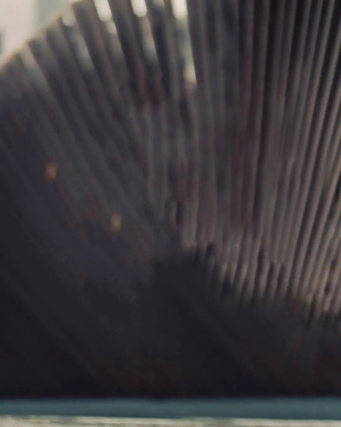 Dark Instgram Viral Snapseed Photo Editing HD Background