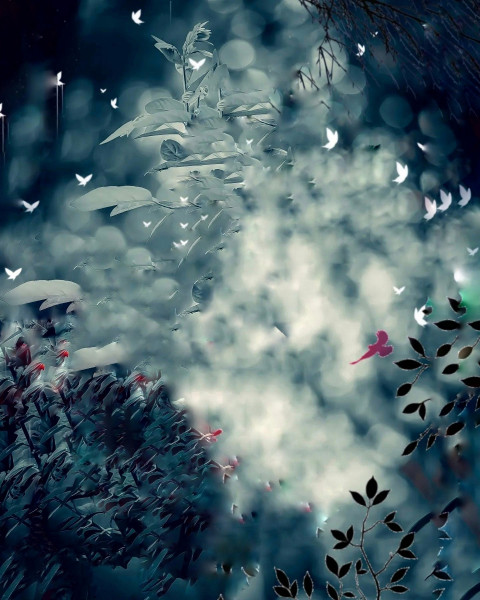 Dark Nature Background HD Download For CB Photoshop Editing