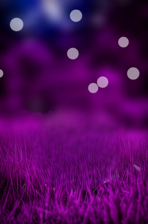 Dark PicsArt Backgrounds New Full HD Download For Editing