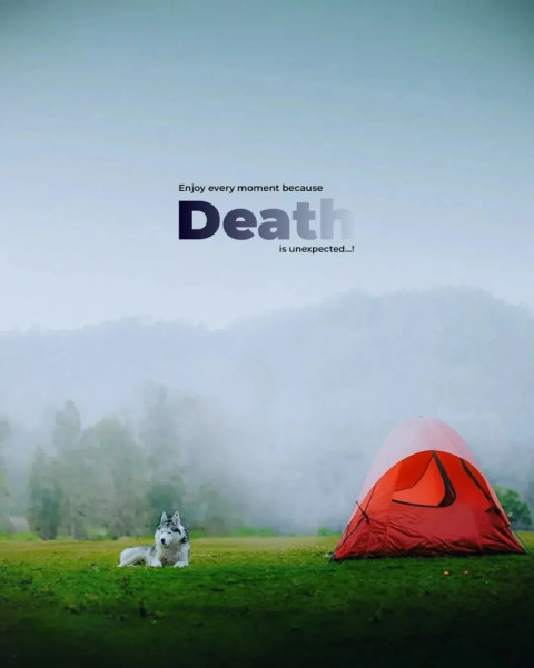 Dog Instagram Viarl Creative Editing Background Download Free