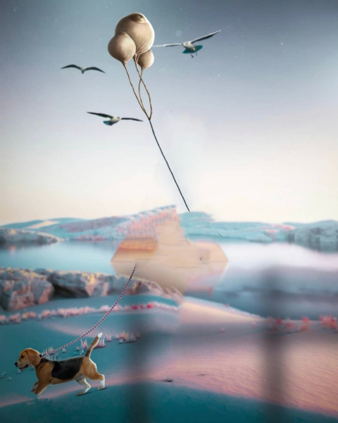 Dog Viral CB Picsart Photo Editing Background HD