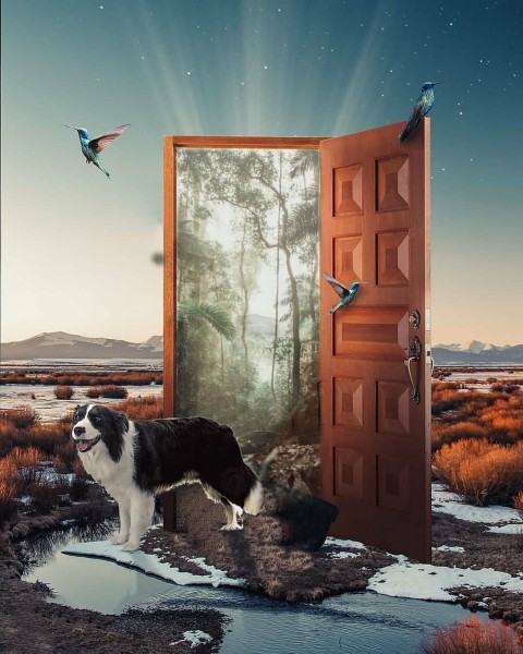 Door With Dog Picsart CB Edit Background