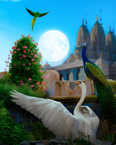 Download Krishna Janmashtami Background Free Editing