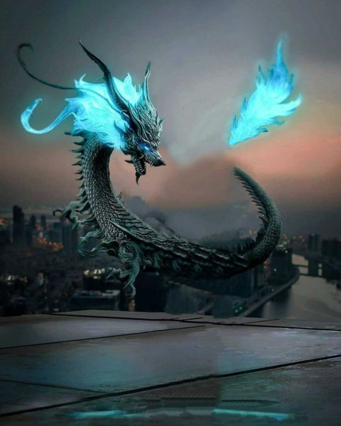 Dragon Picsart Photo Editing Background Hd