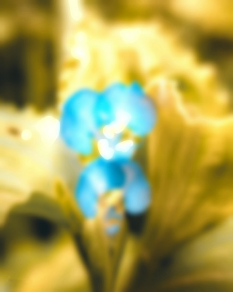 Dslr Blur Photo Editing Background Free Download Img
