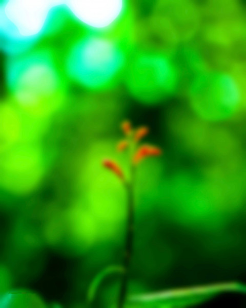 Dslr Blur Photo Editing Background Free Download Pics