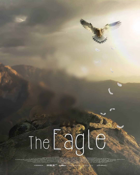 Eagle Creative Photo Editing Background Free Download