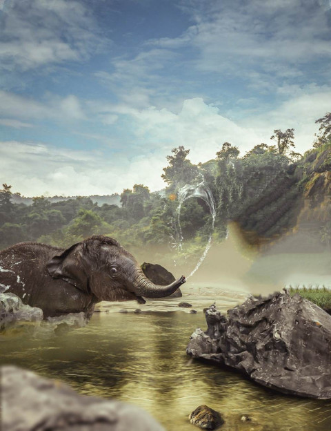 Elephant Poster Photo Editing Background Picsart HD