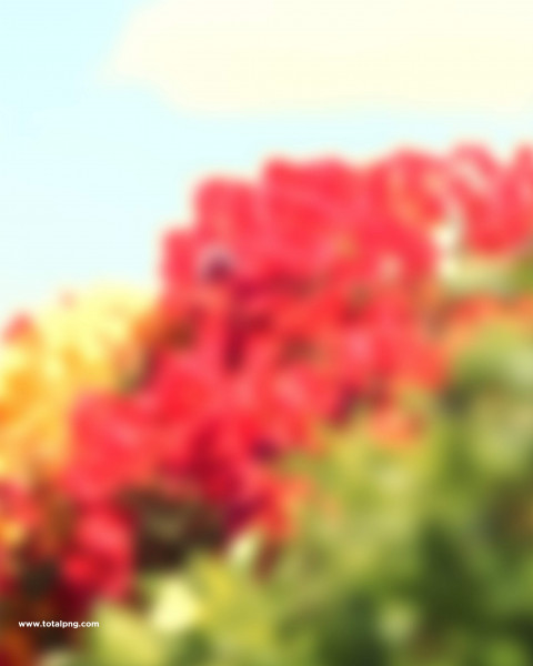 Flowers PicsArt Editing Background Download HD