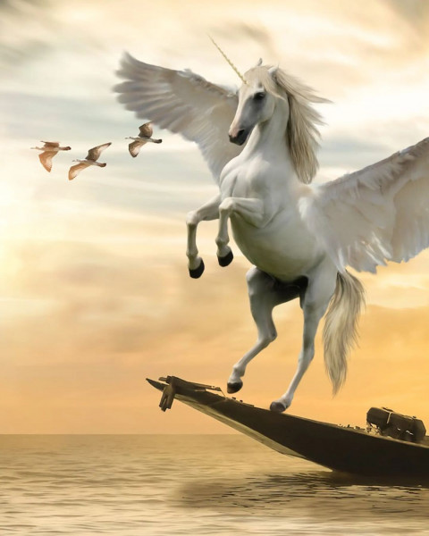 Flying Horse Picsart Photo Editing CB Background