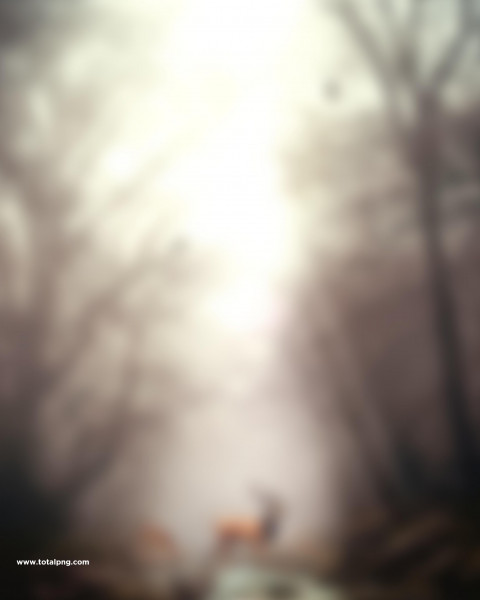 Forest Blur CB Photo Editing HD Background Download
