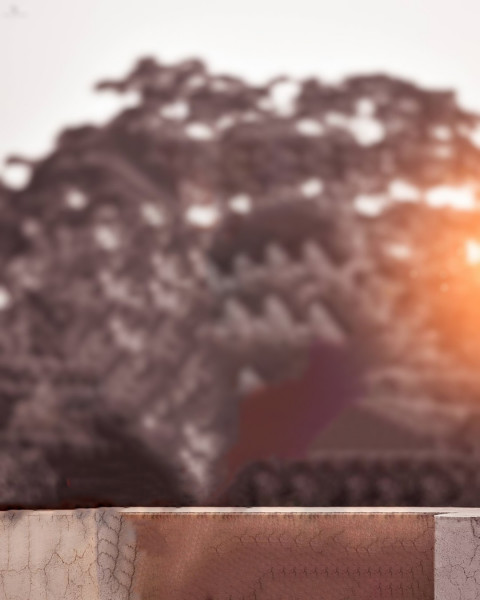 Forest Blur NSB Pictures Background Download