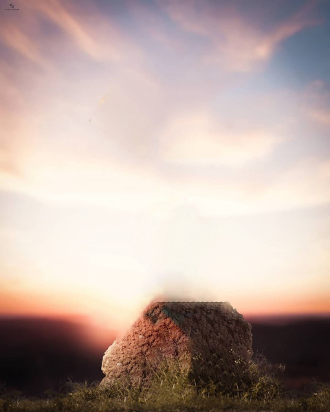 Forest Blur NSB Pictures Background Download