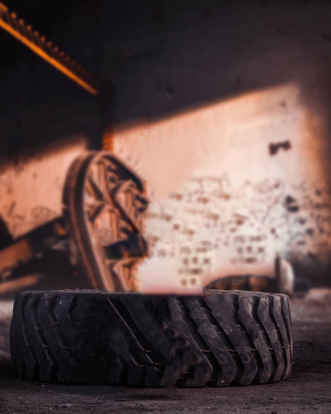 Forest Blur NSB Pictures Background Download