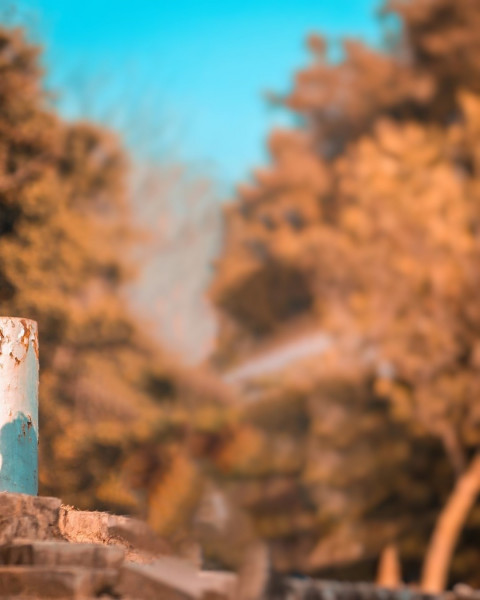 Forest Blur Taukeer Editz Background Picsart CB