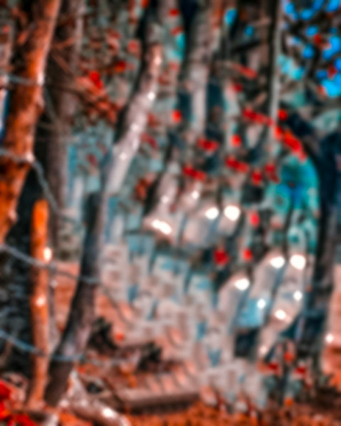 Forest CB Background Download For Picsart Photo editing