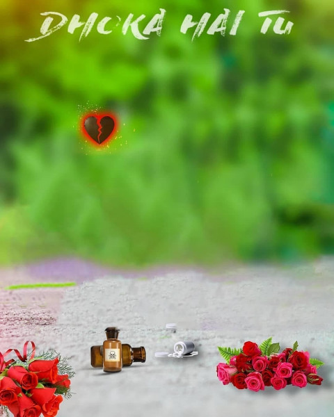 Forest CB Background Full Hd For Picsart