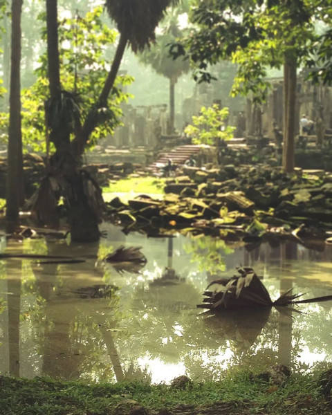 Forest CB PicsArt New Background Download