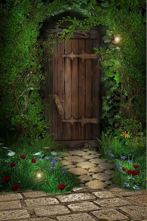 Forest Outdoor Studio Background Download Free