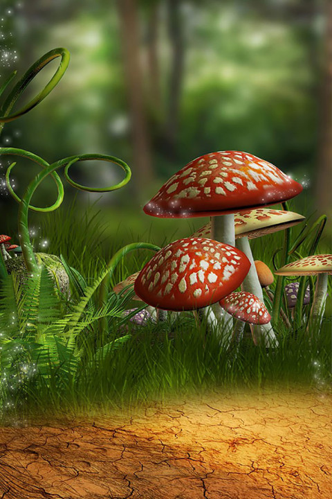 Forest Outdoor Studio Background Download New