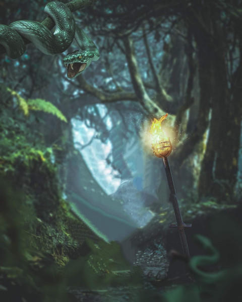 Forest Snake Poster Photo Editing Background HD