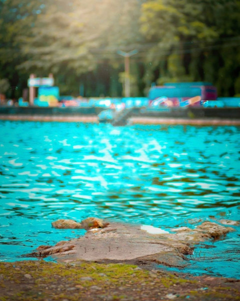 Forest Snapseed Background For CB Photo Editing