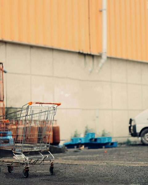 Forest Snapseed Background For CB Photo Editing