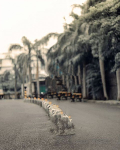 Forest Snapseed Background For CB Photo Editing