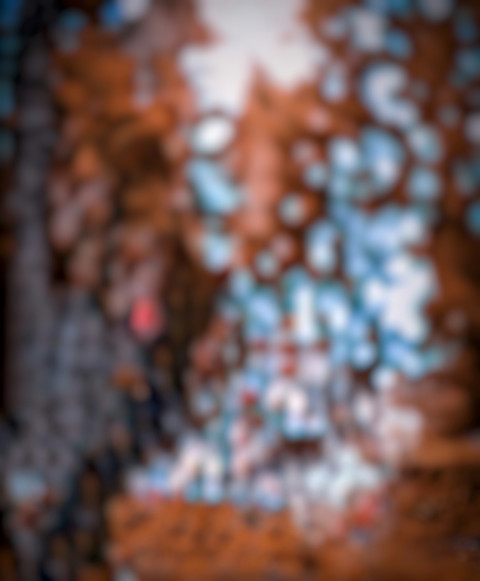 Forset CB Background For Picsart Blur Editing