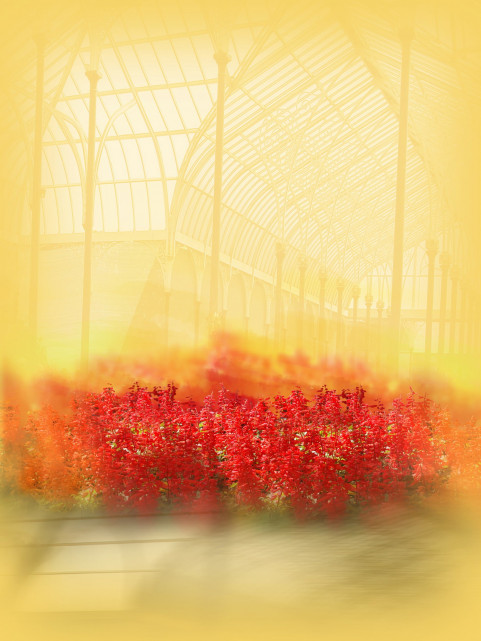 Free Download Studio Background Download New