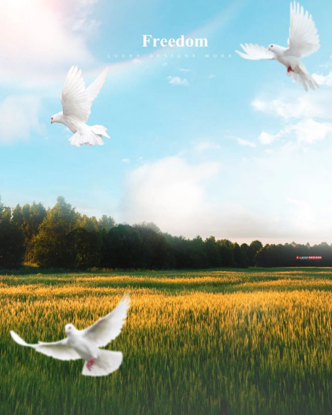 Freedom CB Picsart Photo Editing Background Full Hd