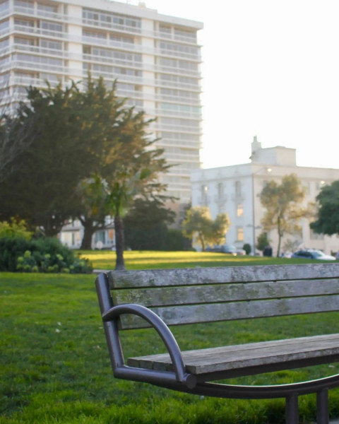 Garden CB Picsart Editing HD Background Download Free