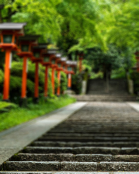 Garden Photo Editing Nature Editing Background Full HD