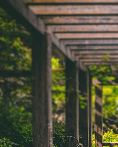 Garden Photo Editing Nature Editing Background New