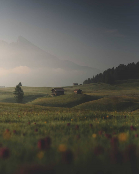 Grass Manipulation Editing New Background Full HD