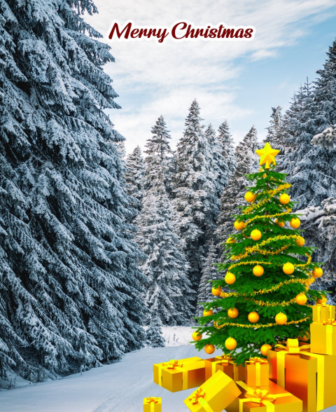 Green Christmas Tree Background Free New Picsart Images Download  Pics