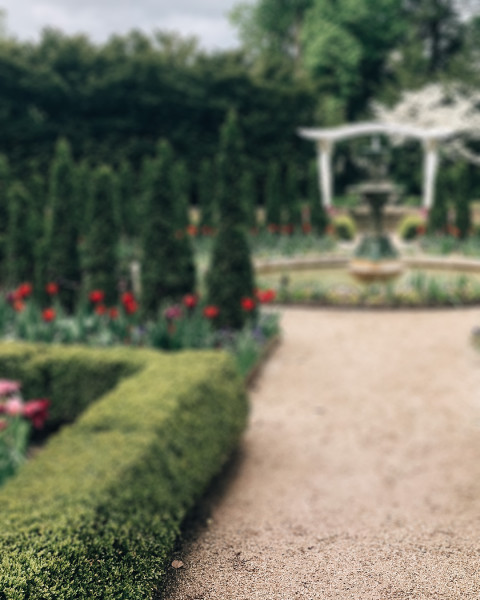 Green Garden CB Picsart Photo Editing Background Viral