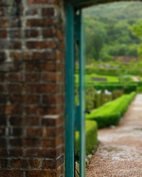 Green Garden CB Picsart Photo Editing Backgrounds Free