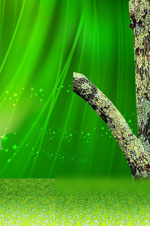 Green Indoor Studio Background HD Images Download Free