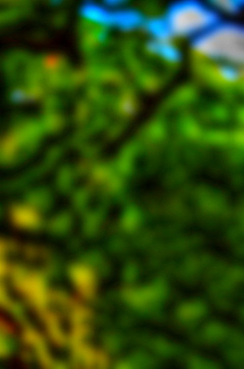 Green Nature Blur CB Editing Background For PicsArt Photo