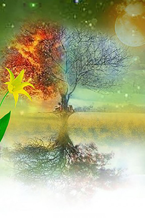 Green Tree Studio Editing Background Download HD