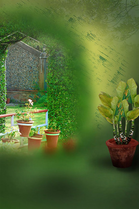 Green Tree Studio Editing Background Download New