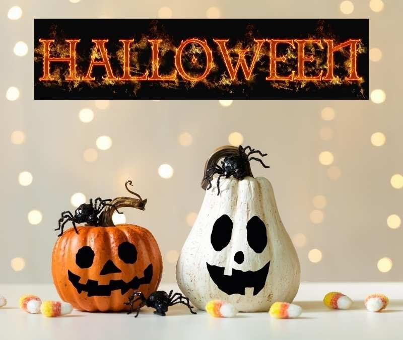 Halloween Background Wallpapers Free Download
