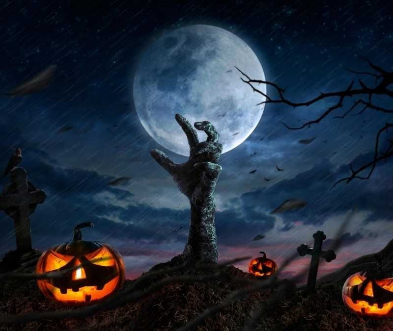 Halloween Background Wallpapers Free Download