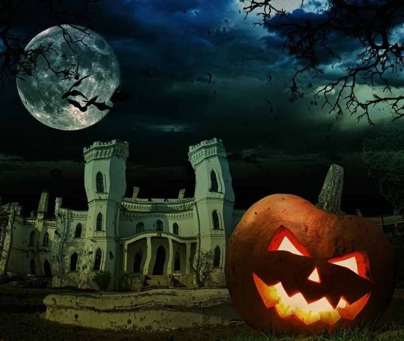Halloween Background Wallpapers Free Download