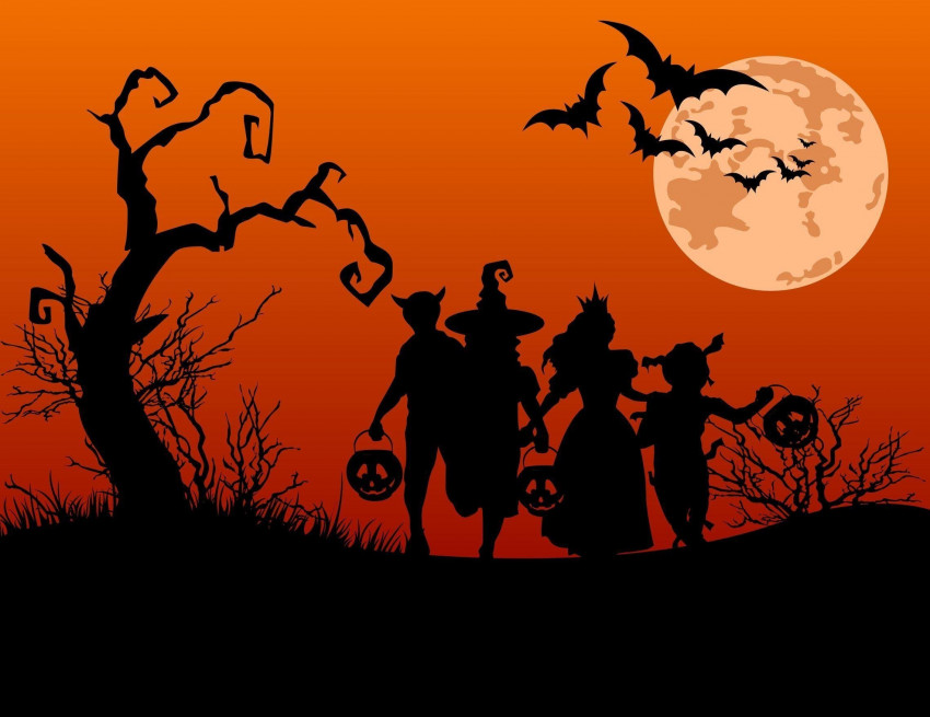 Halloween Banner HD Background Wallpapers Pic